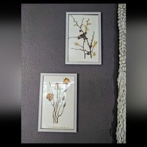 Vintage (1950's) Flower Painting Prints